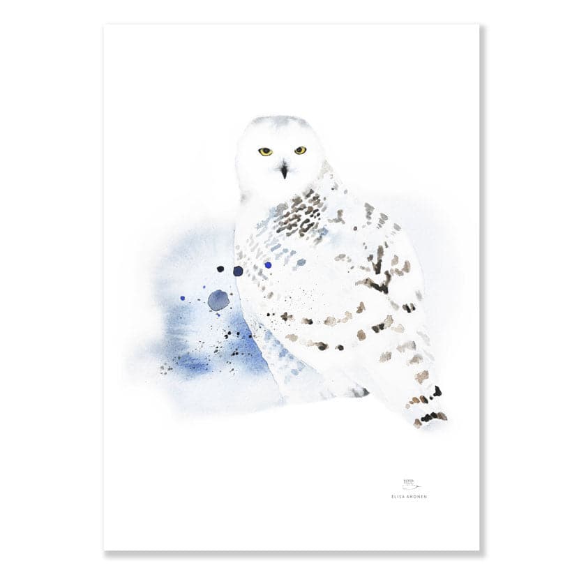 Schnee-Eule Poster und Bilderrahmen aus Eiche, hergestellt in Finnland, Aquarelle nordischer Natur