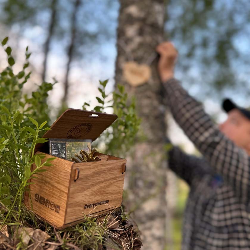 Your own tree as a gift - the forest thanks you