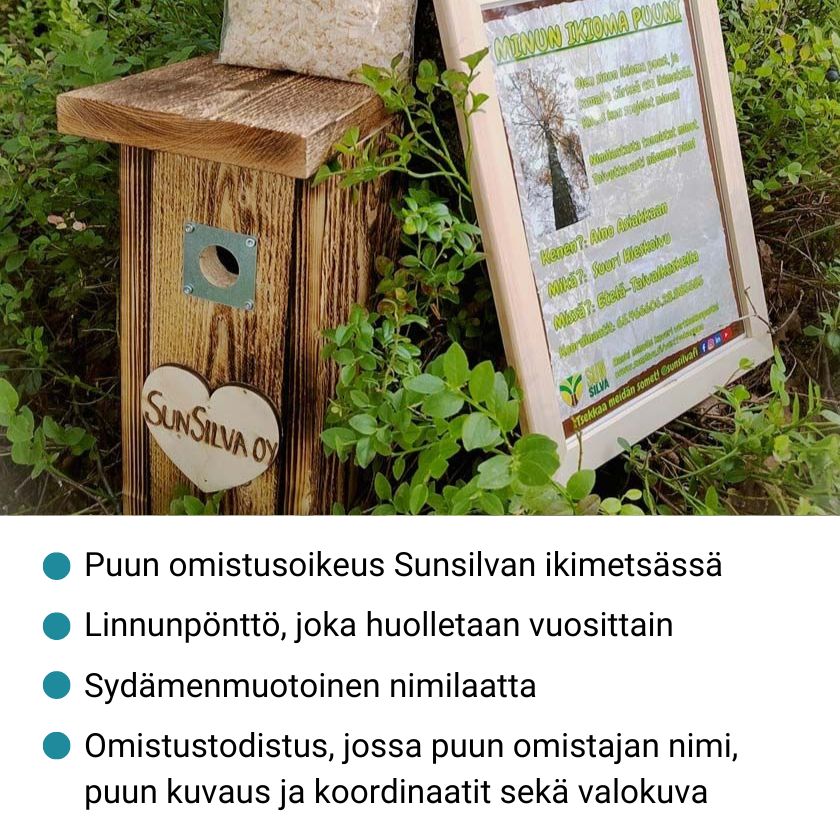 Ikioma puu ja linninpönttö lahjaksi, aineeton lahja, metsän suojelu, Sunsilva