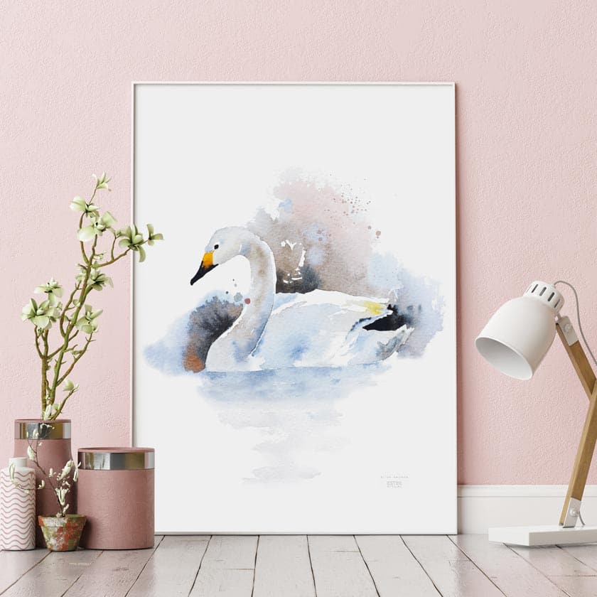 Luontoaiheinen juliste Suomesta Joutsen juliste Ester Visual kotimainen