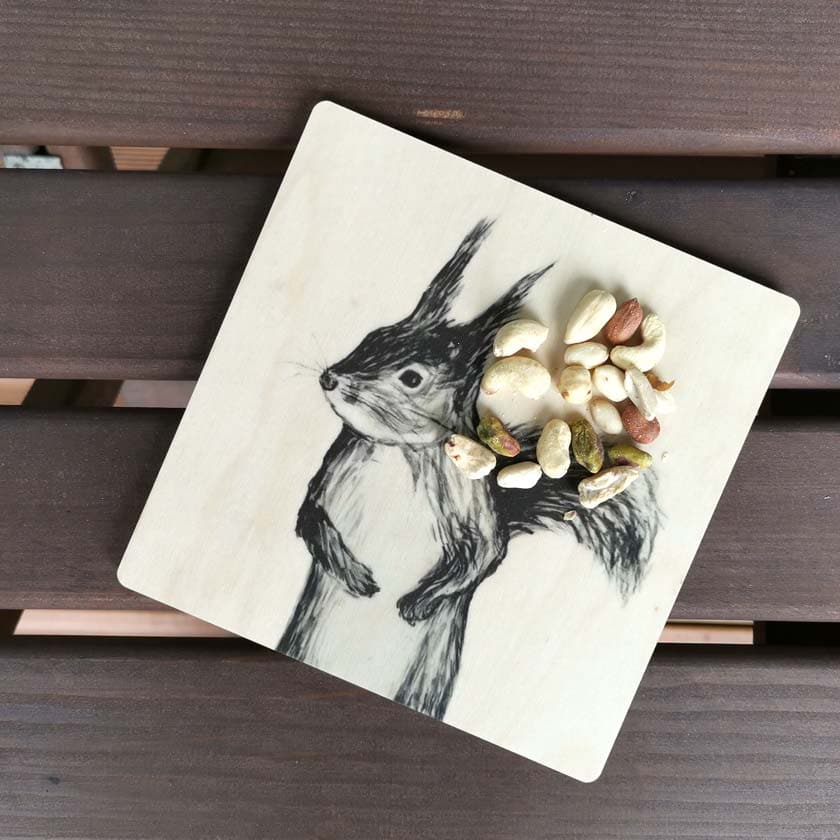 Miiko design puinen Orava pannunalunen