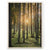 Metsän keskellä Niko Laurila valokuva Plywood Print puutaulu